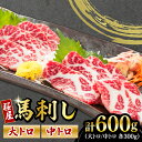 【ふるさと納税】馬刺し 2種 大トロ 中トロ 計600g 300g×2パック 熊本 冷凍 馬肉 馬刺 ヘルシー【有限会社 桜屋】[YBW061]