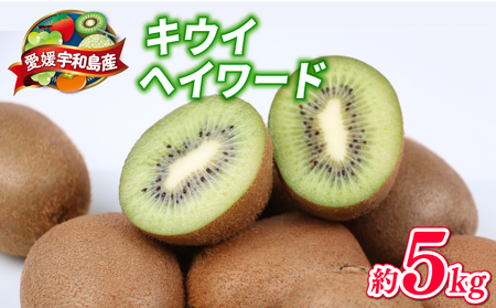 キウイ フルーツ 5kg 吉田農園 家庭用 グリーンキウイ ヘイワード キウイフルーツ デザート スイーツ 果物 農家直送 産地直送 数量限定 国産 愛媛 宇和島 F014-160001