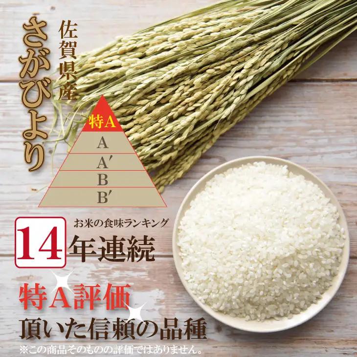 先行予約 令和8年産 さがびより【11月配送】佐賀ブランド米 さがびより10kg（5kg×2）潮風F 白米 B150-058-11
