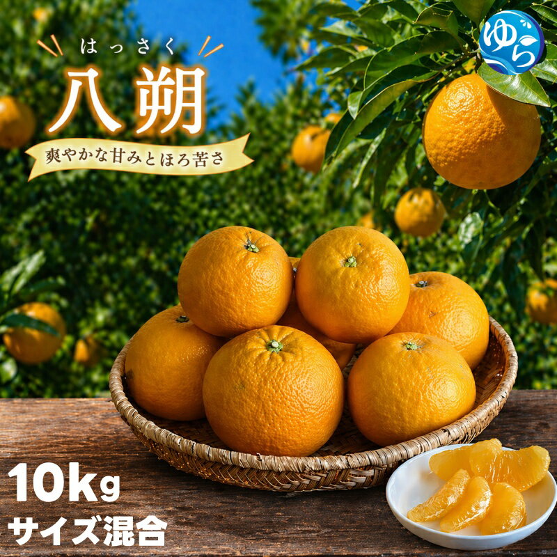 【ふるさと納税】 八朔 10kg 秀優品 (サイズ混合) / はっさく みかん 柑橘 晩柑 和歌山 由良町 甘い 農家直送 ※2027年1月上旬～1月下旬頃に順次発送予定