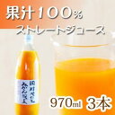 【ふるさと納税】果汁100％田村そだちみかんジュース　970ml×3本 | 和歌山県 印南町 和歌山 返礼品 支援 楽天ふるさと 納税 飲み物 みかんジュース ミカンジュース 蜜柑ジュース ジュース ソフトドリンク ドリンク 飲料 フルーツジュース ご当地 お土産 おみやげ