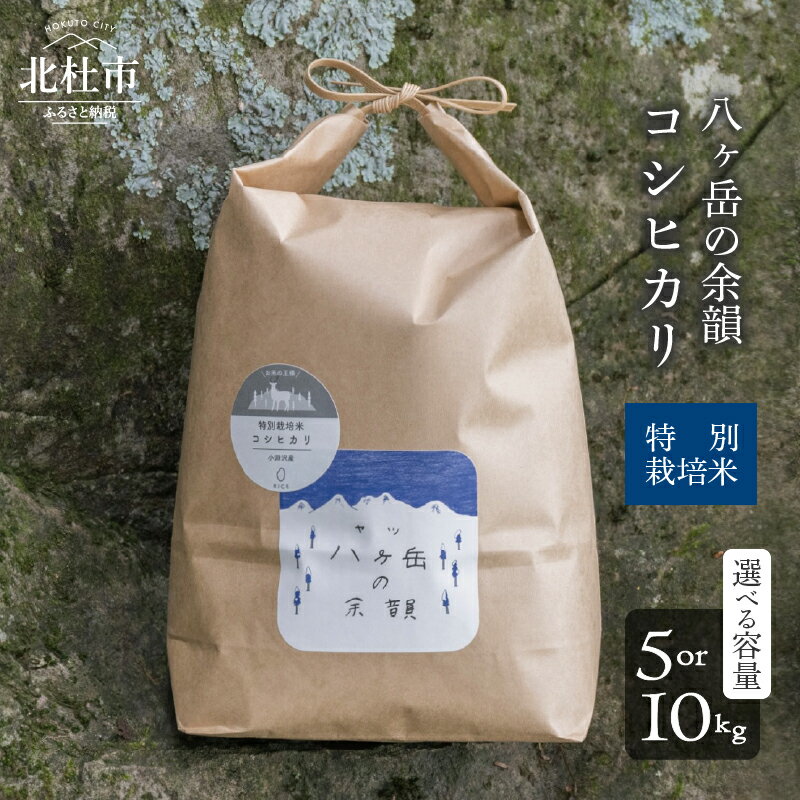 【ふるさと納税】 米 令和7年度米 白米 選べる 容量 10kg 5kg 1袋 コシヒカリ 特別栽培米 八ヶ岳の余韻 八ヶ岳南麓 小淵沢 山梨県 北杜市 送料無料