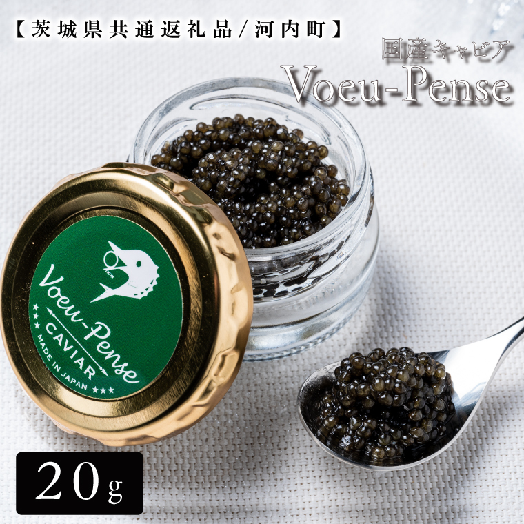 【1月下旬発送】【数量限定】国産キャビアVoeu-Pense【茨城県共通返礼品/河内町】【国産 キャビア 高級 冷凍 珍味 贈答 手土産 水戸市】（GQ-1）