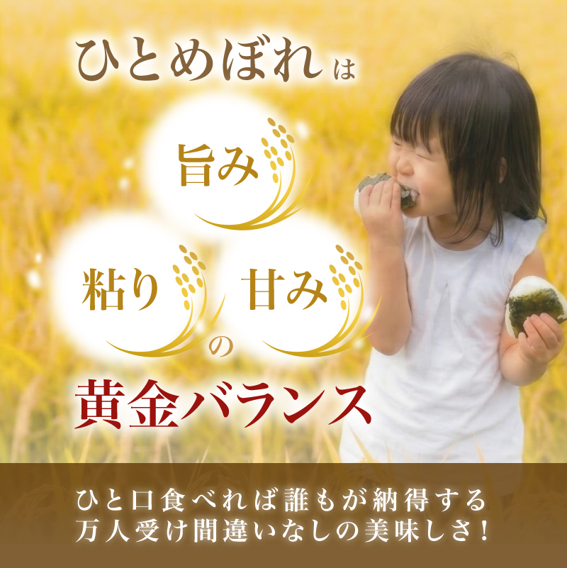 ひとめぼれ 令和7年度産 精米10kg(5kg×2)【精米 白米 米 コメ お米 おこめ ブランド米 ご飯 ごはん 秋田 にかほ】