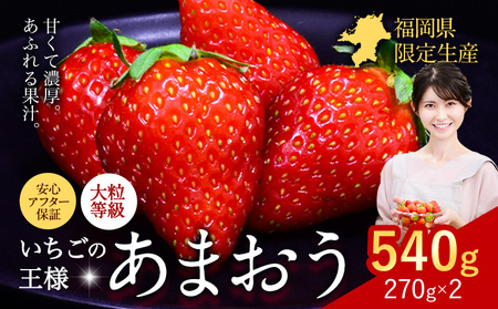 ★2026年出荷分★【先行予約】いちご あまおう 540g (約270g×2パック) 苺  【着日指定不可】《2月中旬-4月末頃出荷予定》　|　特産品あまおう いちご イチゴ 福岡県産いちご 大人気いちご いちご