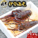 【ふるさと納税】 伊勢海老 特大 約1.4kg 約700g×2尾 伊勢えび 伊勢エビ いせえび イセエビ 海老 えび エビ 海鮮 海産物 海の幸 おせち 高級 国産 海鮮 ギフト 【11月以降にお届け／要配送日指定】