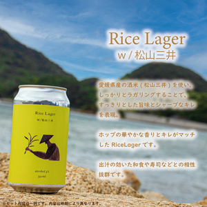【定期便/2回】 クラフトビール おまかせ 4本 セット おすすめ 興居島 瀬戸内 四国 離島 醸造 お酒 地ビール ご当地 ビール びーる くらふとびーる 送料無料 愛媛県 松山市 【GB004】