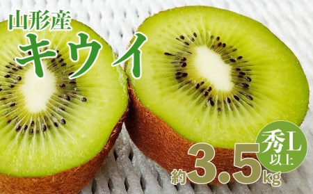 山形産キウイ秀品Ｌ以上　２０～３０玉約3.5キロ【令和8年産先行予約】FS25-766