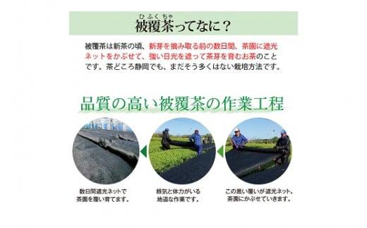 048-78　静岡牧之原市ブランド茶　望　金印　100ｇ　3袋