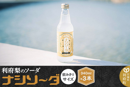 ナシソーダ 340ml×3本 クラフト サイダー