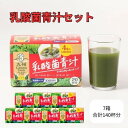 【ふるさと納税】青汁 乳酸菌青汁 7個 セット 合計140袋 健康 ヘルシー　【鳥栖市】