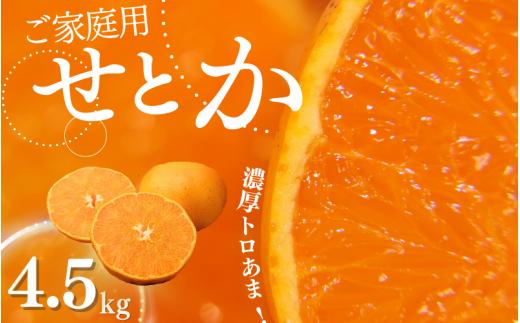 ご家庭用 たにぐち農園のせとか 4.5kg 大小混合【2025年3月から4月上旬までに順次発送】 / 家庭用 ご家庭用 せとか みかん 蜜柑 サイズ 不揃い【mtn012B】