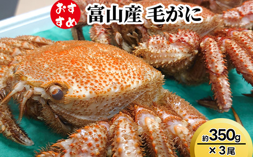 【おすすめ】富山産　毛がに約350g×3尾｜蟹 ガニ かに カニ 毛ガニ 毛蟹 かにしゃぶ カニしゃぶ 蟹しゃぶ かに鍋 カニ鍋 蟹鍋 かに味噌 カニ味噌 かにみそ 魚貝類 魚介類 ボイル 国産 富山 富山湾 北陸 富山カニ 北陸カニ 富山かに 北陸かに 富山蟹 北陸蟹  ※2026年11月～発送