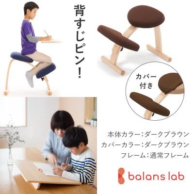 ふるさと納税 美濃市 バランスイージー 通常[ダークブラウン]カバー付+イージーライティングボードL【複数個口で配送】