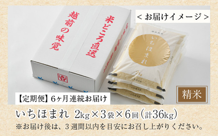 【令和7年産・新米】定期便6回 いちほまれ 精米 2kg×3袋×6回（計36kg）《お米マイスターが発送直前に精米！》／ 福井県産 ブランド米 ご飯 白米 新鮮 [aw064-k002]