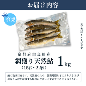 天然鮎 網獲り 冷凍 約1kg（約15匹～22匹）【 あゆ 鮎 アユ 天然鮎 冷凍鮎 鮎 】