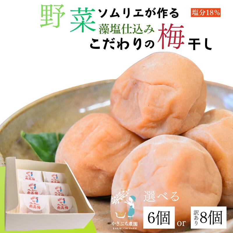 【ふるさと納税】 野菜ソムリエが作る 無添加 梅干し 藻塩仕込み 6個入り または 8個入り（訳あり品）紀州南高梅 白干し