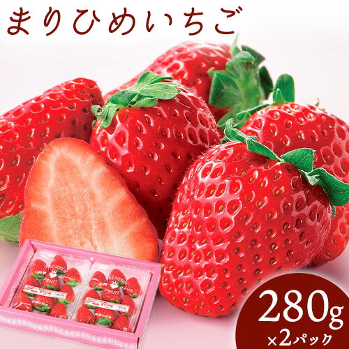【ふるさと納税】高橋ファーム まりひめいちご 280g×2パック 株式会社オークワ《2月上旬-4月中旬頃出荷》 和歌山県 紀の川市 果物 フルーツ イチゴ 苺 旬