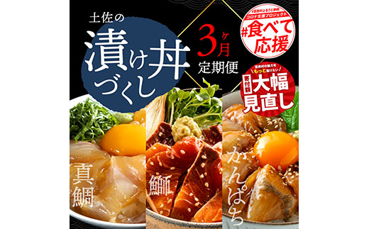 【CF-R7hbk】t021kyf　海鮮 芸西村3ヵ月連続定期便 土佐の漬け丼づくし定期便／1回目：真鯛の漬け丼の素、2回目：ブリ漬丼の素、3回目：かんぱち漬丼の素 本場 高知 土佐 海鮮 自慢 返礼品 お楽しみ〈高知市共通返礼品〉