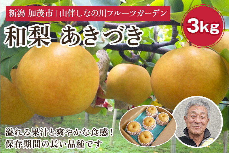 
                  【2026年先行予約】和梨 あきづき 約3kg（約4～7個）フルーツギフト《9月下旬～お届け》冬の味覚 産地直送加茂市 山伴しなの川フルーツガーデン
                