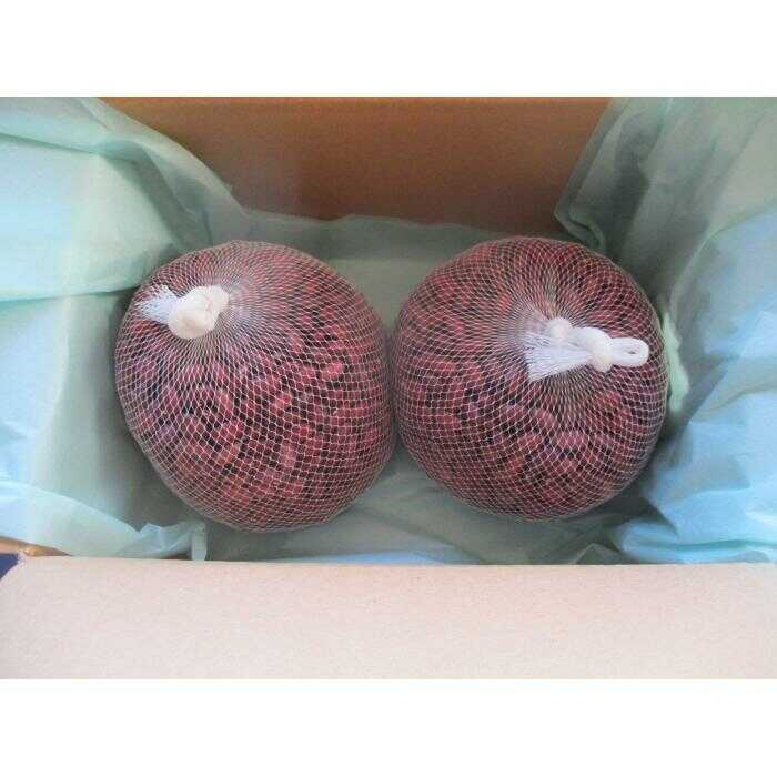 【ふるさと納税】北海道 大正金時 1kg × 2袋 《足寄町》【党崎農場】 あずき 豆 まめ 和菓子 和食 あんこ 赤飯 スープ おしるこ 煮物 健康 足寄町産 北海道産 道産 国産 御汁粉 お汁粉 スイーツ お菓子 和スイーツ 甘納豆 [BEAA018]