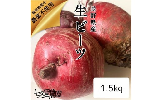 
            レッド パワー ビーツ 約1.5kg | 野菜 ビーツ 生ビーツ レッドパワー レッドパワービーツ 新鮮 長野県 信州 南信州 飯田市 R12
          