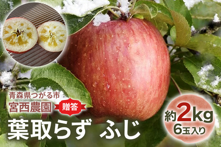 [贈答用] 葉取らずふじ【約2kg 6玉入り】園主選抜の特選りんご｜青森 リンゴ [0680]