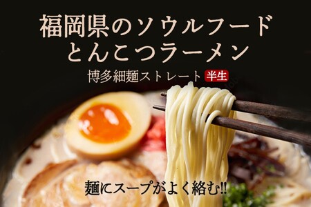 ＼ポスト投函／ 博多の味 豚骨ラーメン 5食 ゆうパケットでお届け！【Z3-043】豚骨ラーメン らーめん 拉麺 豚骨 半生麺 常温 保存 備蓄