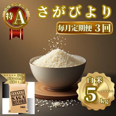 ふるさと納税 佐賀県 【毎月定期便】さがびより白米5kg(佐賀県)【41ANAD012】全3回