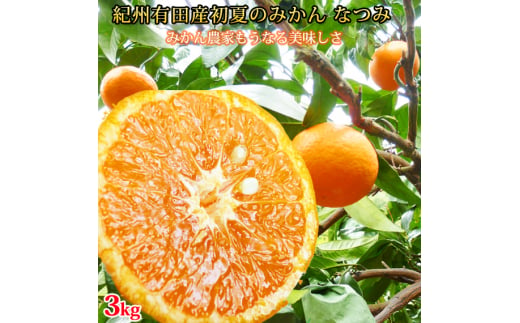 初夏のみかん　なつみ3kg　※2025年4月中旬〜2025年4月下旬頃順次発送（お届け日指定不可）【uot753】