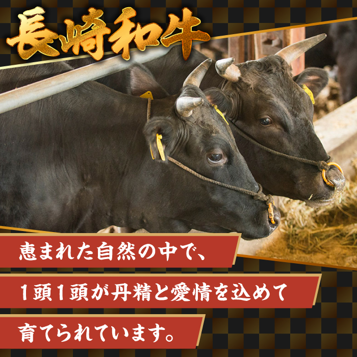 【A5ランク】長崎和牛 切り落とし 500g / 和牛 国産 牛肉 にく きりおとし 真空 / 南島原市 / ミカド観光センター [SEC003]_イメージ4
