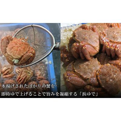 ふるさと納税 白老町 【浜ゆで】北海道産 冷凍ボイル毛ガニ (1尾700g〜800g前後) 1尾 |  | 01