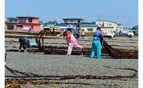 【お試し用】昆布だし1本・おやつ昆布2種セット_210101