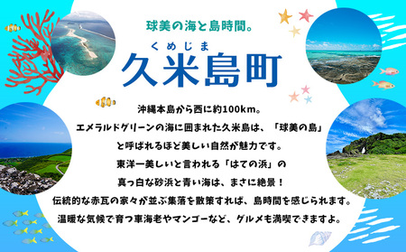 HISふるさと納税クーポン（沖縄県久米島町）1万5千円分
