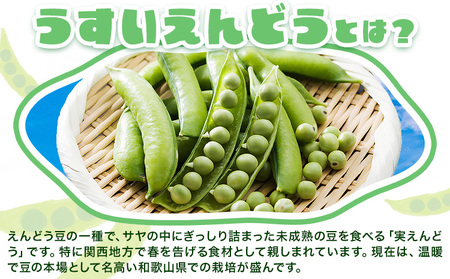 うすいえんどう 約2kg 湯川農園《1月末-5月上旬頃出荷》和歌山県 日高川町 旬 新鮮 豆うすい グリーンピース 和歌山特産 豆ごはん 送料無料 ほくほく 甘い