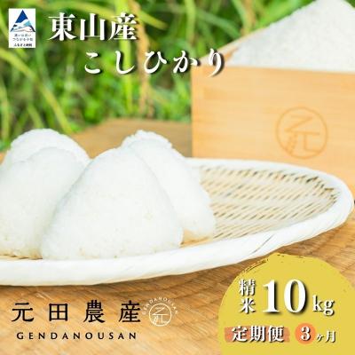 ふるさと納税 小松市 【定期便】令和7年産 コシヒカリ 精米10kg×3ヶ月(毎月) お米 白米 こしひかり 【元田農産】