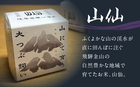 純米吟醸原酒 ひだほまれ55 720ml 1本・山仙キューブ米3個（1個 300g）【2-48】