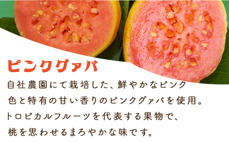 KU110 【定期便・全3回】まるで果実を食べているような！グァバドリンク２本セット(各720ml)×3回【宮崎果汁】