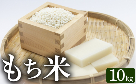 《令和7年産》モチ米 10kg こめ コメ おこめ 精米 お米 ごはん おコメ 餅 AS004