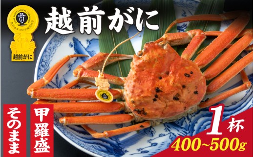 【先行予約】【11月～3月発送】選べる！美味しさ直送【成前特選】 越前がに（400g～500g）×1杯 姿  [D-028042_06] / 福井県 福井 オス 雄 ズワイガニ ボイル 冷蔵 越前ガニ 越前がに 越前カニ ずわいがに ずわい蟹 かに カニ 蟹 指定 茹で すがた 姿