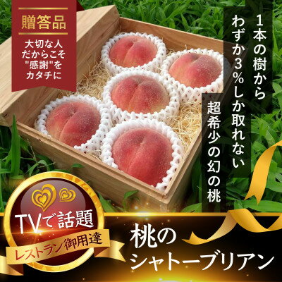 【ふるさと納税】【TVで人気爆発】御中元選ばれる1000個中1個の希少性『幻のシャトーブリアン桃』8月上旬～順次発送【配送不可地域：離島・北海道・沖縄県・中国・四国・九州】【1586347】