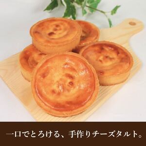 チーズタルト 5個 チーズ タルト チーズ タルト
