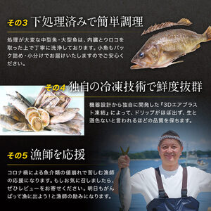 【2026年10月下旬発送】北海道 冷凍鮮魚セット 最大4kg 「漁師応援プロジェクト！」 下処理済み 海鮮 海産 地元 ホタテ