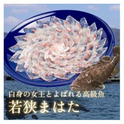 ふるさと納税 小浜市 若狭マハタ刺身4人前 |  | 01