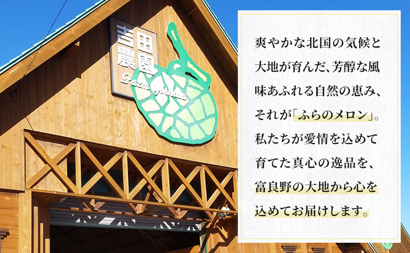 【2026年8月下旬より発送】北海道 富良野 メロン 赤肉 約2.1kg