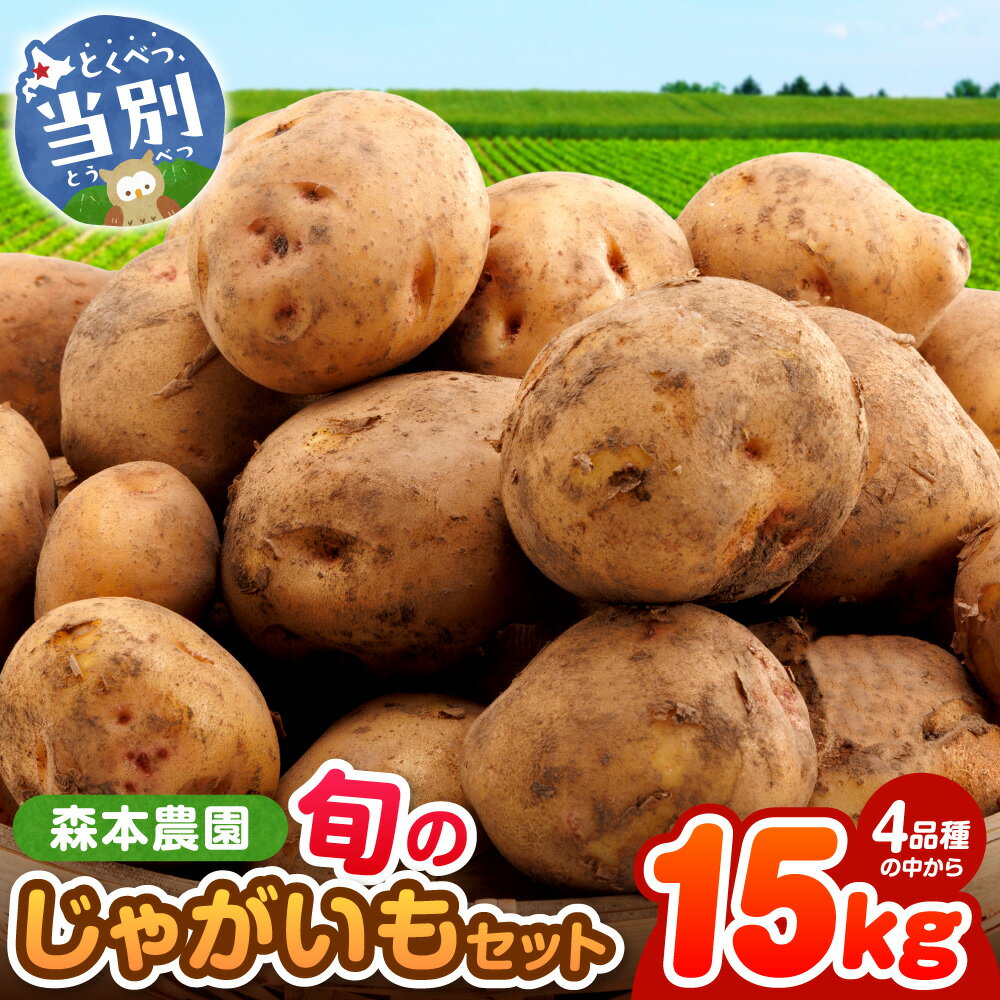 【ふるさと納税】【2026年先行予約】 森本農園 じゃがいも 15kg いも 男爵 キタアカリ とうや メークイン 野菜 ポテト ポテトチップス じゃがバター フライドポテト カレー シチュー おかず 北海道産 森本農園 北海道 当別町