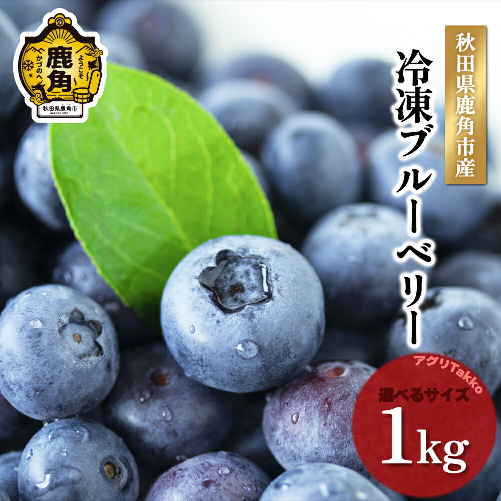 【ふるさと納税】令和7年産 冷凍ブルーベリー 秋田県鹿角産 1kg ( 500g × 2袋 ) 大玉 中玉 サイズMIX 新鮮 ブルーベリー 冷凍 秋田県産 国産ブルーベリー お中元 お歳暮 お取り寄せ グルメ ギフト 故郷 秋田 あきた 鹿角市 鹿角 送料無料 【アグリTakko】