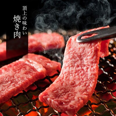 松阪牛 極上焼肉 おまかせ6種 600g【配送不可地域：離島】【1566676】