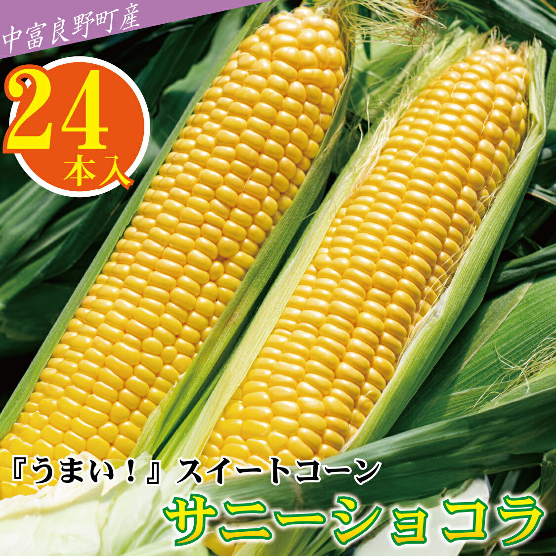 【ふるさと納税】【中富良野町　寺坂農園】とうもろこし『サニーショコラ』（24本入り）