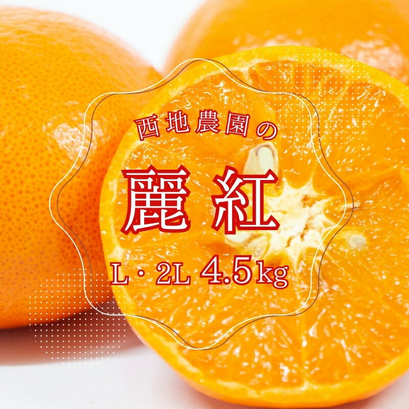 【ふるさと納税】 麗紅 西地農園の 麗紅 (れいこう) 4.5kg L・2L 【2026年2月初旬から順次発送】 ご家庭用 家庭用 れいこう 柑橘 みかん ミカン 蜜柑 柑橘 果物 くだもの フルーツ 産地直送 国産 数量限定 送料無料
